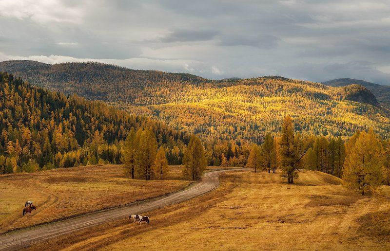 Из осеннего.photo preview