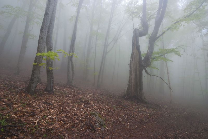 И всё повторится сначала.....photo preview