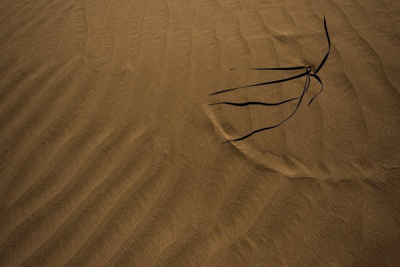 Астраханские пескиphoto preview