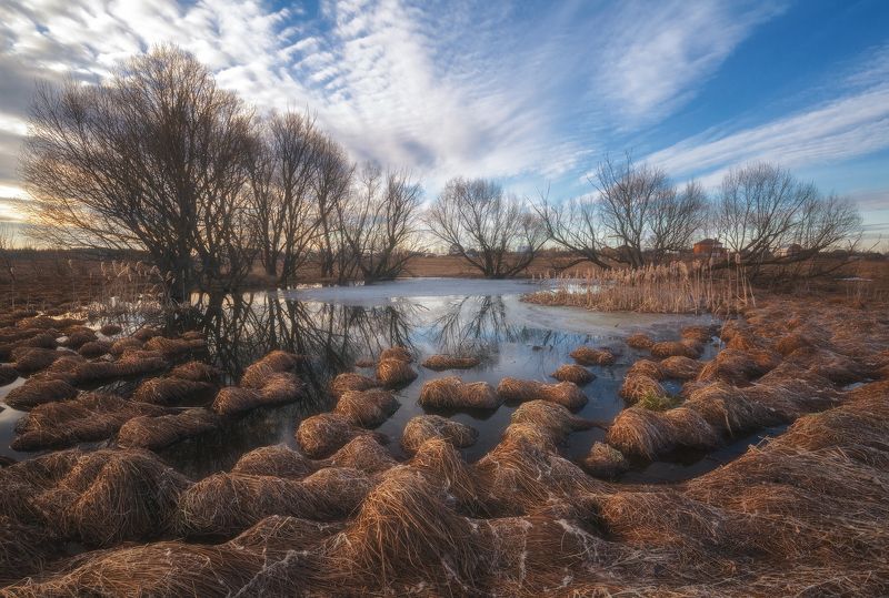 россия, подмосковье, весна, пруд, кочки, трава, вода, небо, облака Весенние кочкиphoto preview