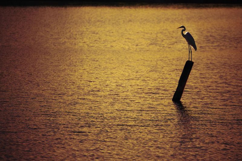 Мутаборphoto preview