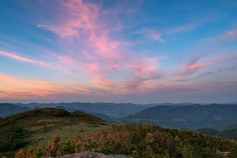 рассвет., туман., карпаты., горы.  фото превью