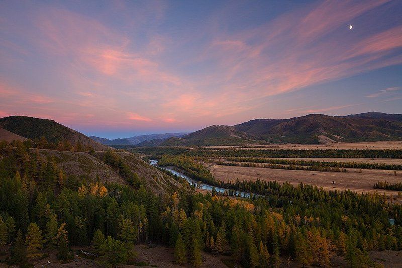 Аргут в районе степи Самаха.photo preview