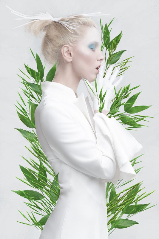 BLEAСHED PLANTphoto preview