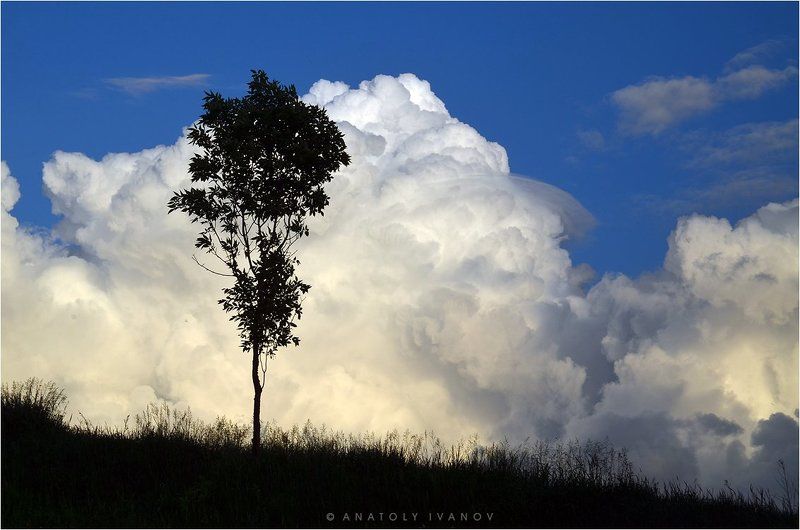 На фоне облаковphoto preview