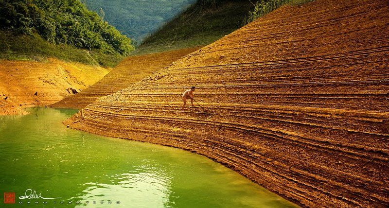 dang tuan trung, frank dang The Lifephoto preview