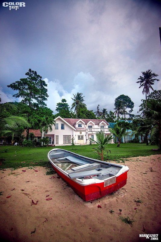 COLOR TASTEphoto preview