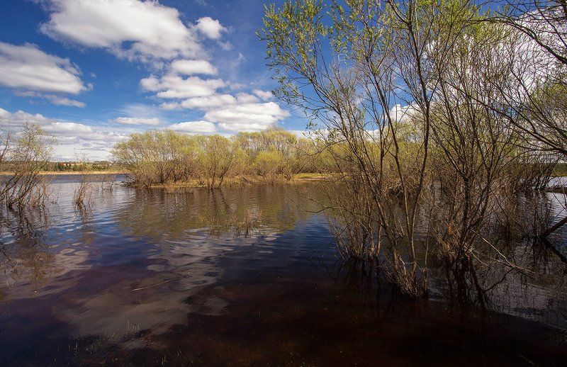 ***********photo preview