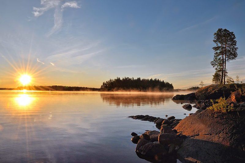 карелия, охта, рассвет, озеро, сосны, солнце, пейзаж Утро на озере Вороньем фото превью