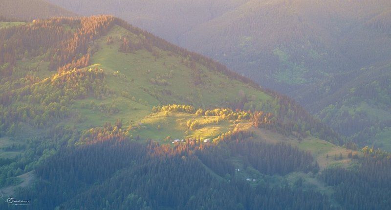 рассвет., туман., карпаты., горы  фото превью