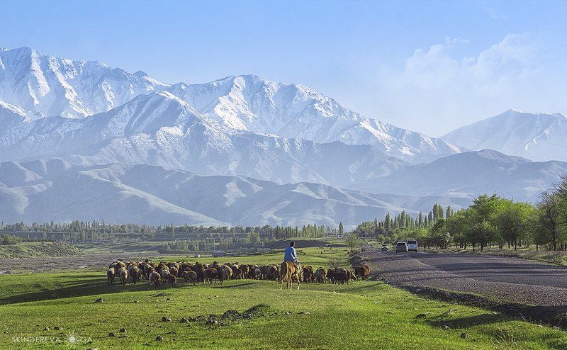 Кыргызстан,Тянь-Шань У каждого своя дорогаphoto preview