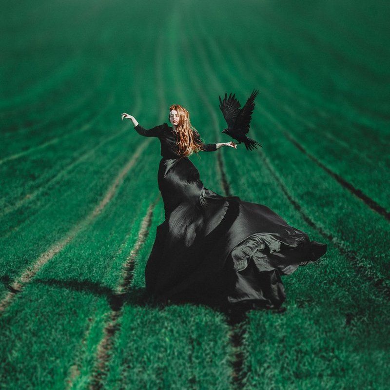 рыжая, девушка, черное платье, ворон, зеленое, поле, портрет, girl, crow, field, green, red hair, emotive, black dress Bella with Crowphoto preview