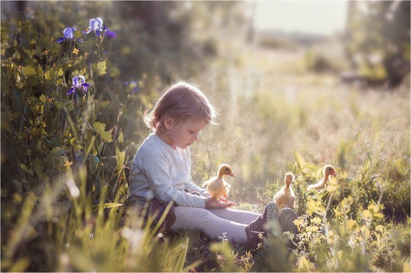 Доверие...photo preview