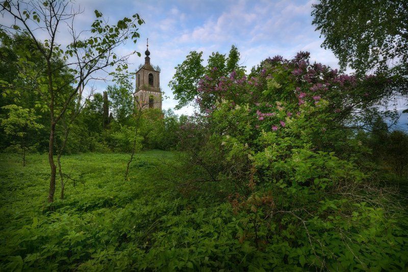 пейзаж, пейзажная съемка, утро, туман, храм, июнь, июньское утро, свежесть, молодая зелень, никон, landscape, may, fog, morning, church ***photo preview