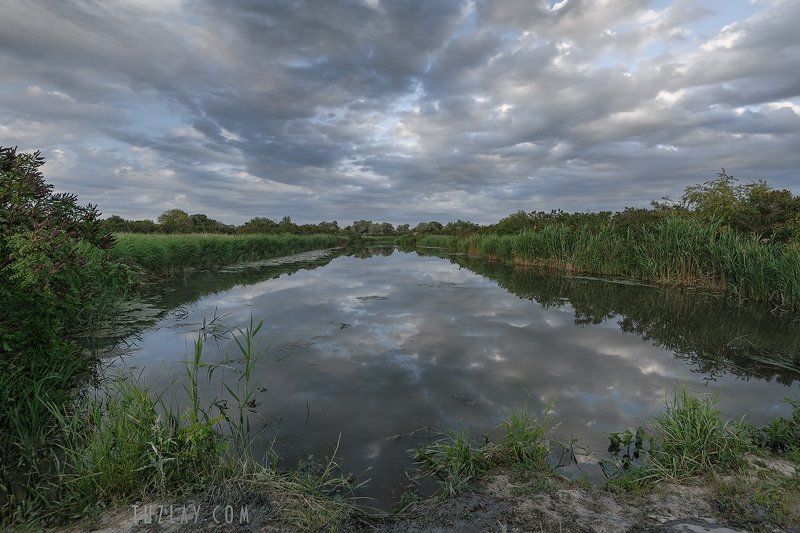 земля таманская, таманский полуостров, камыши И снова про небо, и снова про камыши . . . фото превью