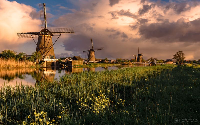 holland, kinderdijk, landscape Голландская пасторальphoto preview