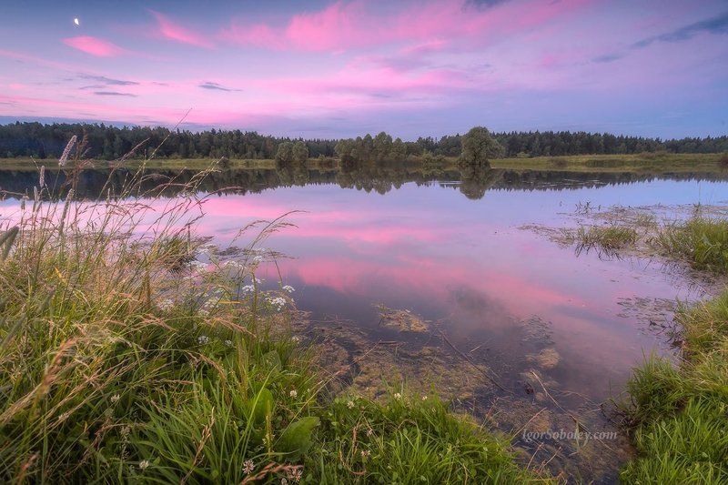 закат, озеро, пейзаж, отражение, небо, трава, облака Тихая водаphoto preview