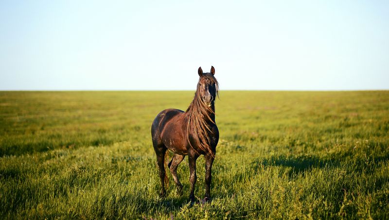 Встречаphoto preview