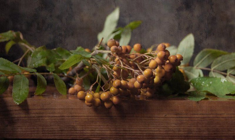 рябина Рябинаphoto preview