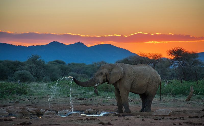 Вечерний душphoto preview