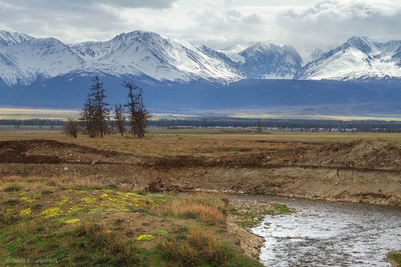 landscape, scenic, nature, travel, outdoor, view, tourism, steppe, larch, tree, spring, mountains, snow, sky, high, grass, ginger, green, north-chusky range, altai, kurai О Курайской веснеphoto preview