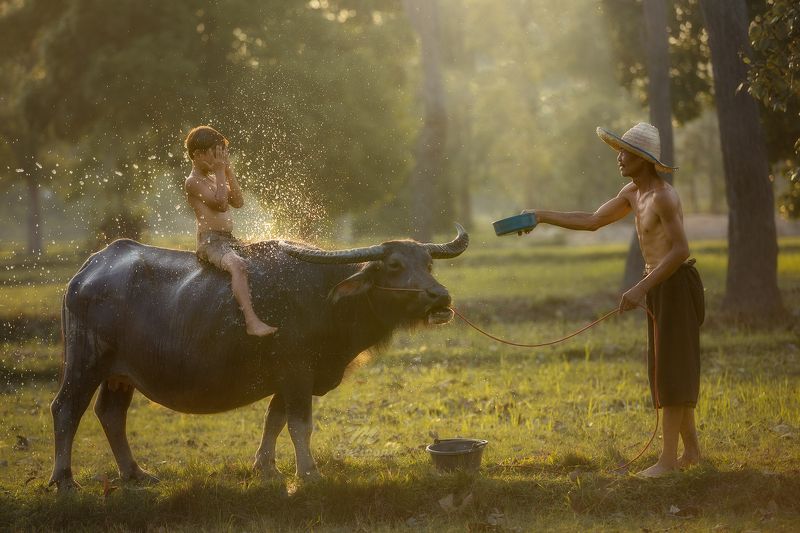 child,cheerful,father son,son,father,thailand. Father sonphoto preview