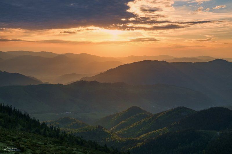 рассвет., туман., карпаты., горы  фото превью