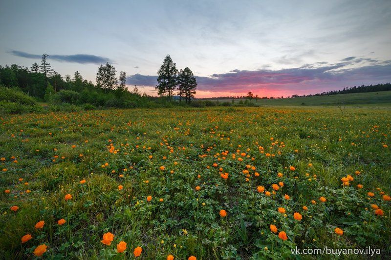 Июньский вечер фото превью