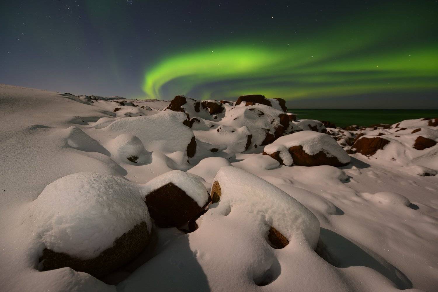 , Максим Евдокимов (www.wildphotorus.ru)