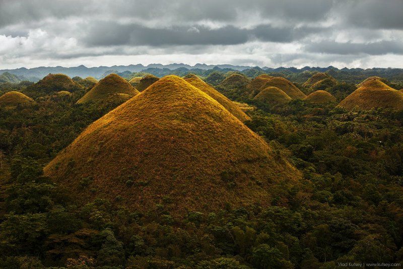bohol, philippines, island, chocolate_hills, hills, travel, adventure, asia, филиппины, остров, холмы, шоколадныехолмы, шоколадные_холмы, азия, пейзаж, экспедиция, джунгли Филиппинский шоколадphoto preview