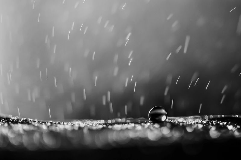 water, macro, light, drops, drop, dandelion, droplet, bokeh,droplets,,reflection, вода, макро_свет, капли \\\\\\.//photo preview
