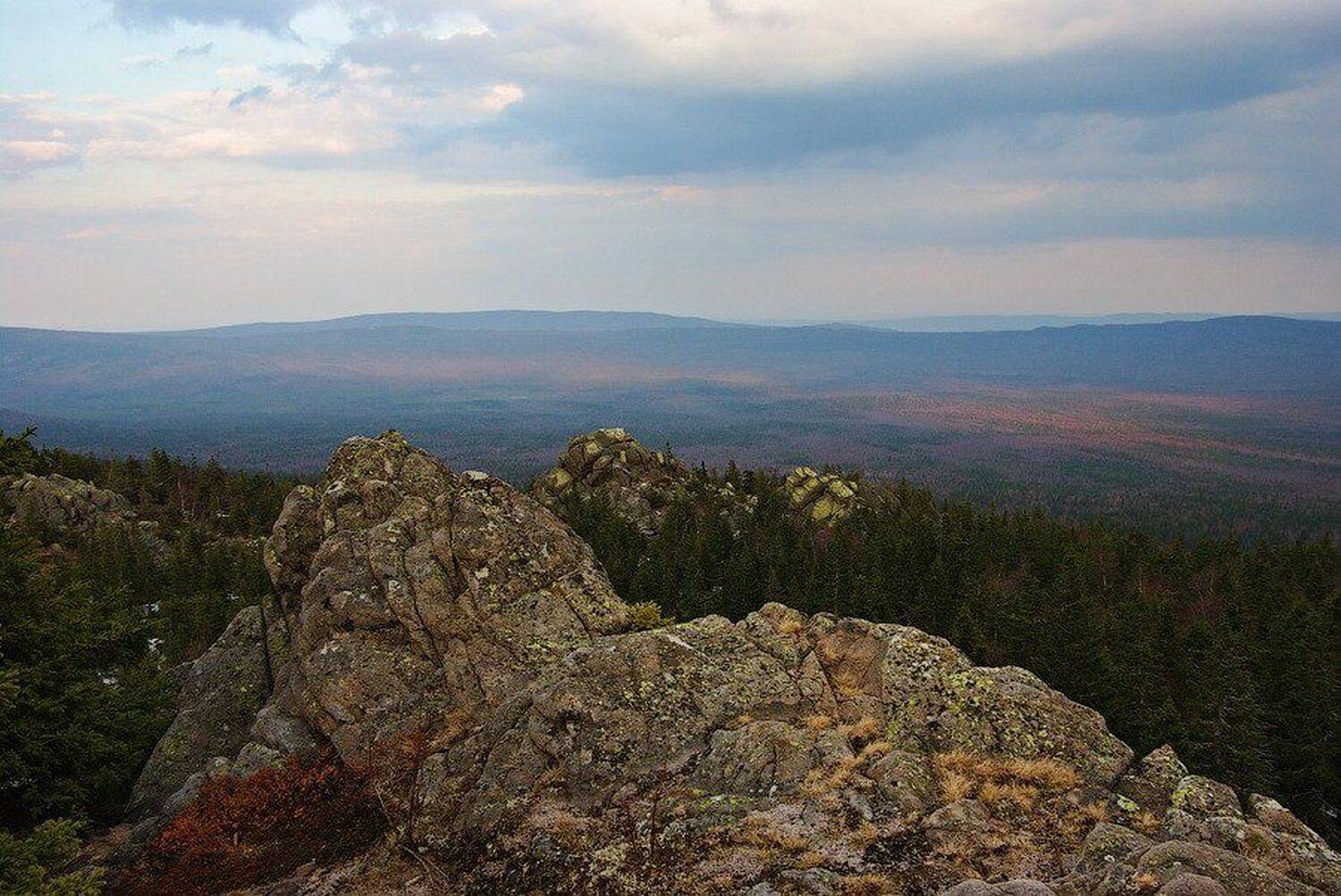 , Andrew (a-never) Nitsenko