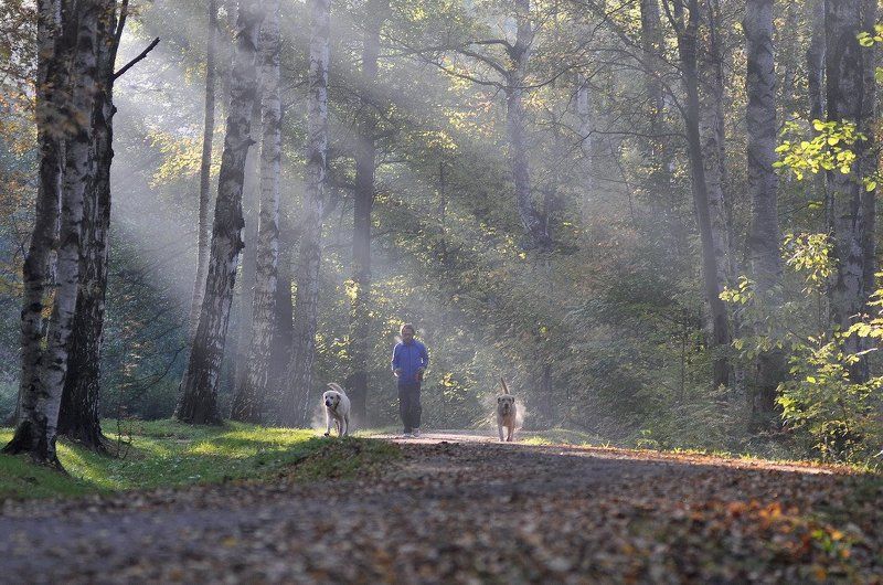 утренняя пробежкаphoto preview
