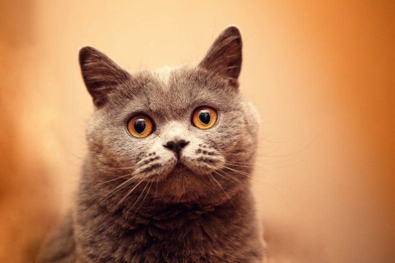 Мэри...photo preview