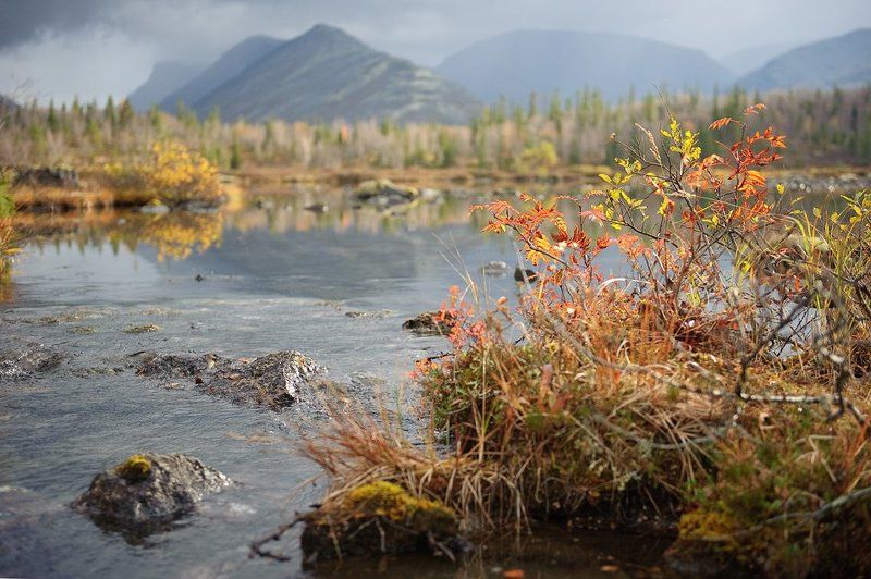 кольский, п-ов, , , хибины, , , осень ***photo preview