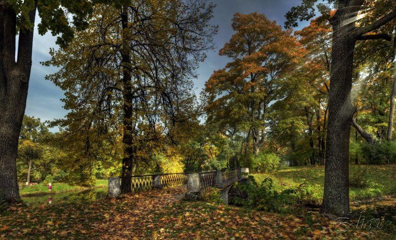 осень, парк, мост В осень ...photo preview