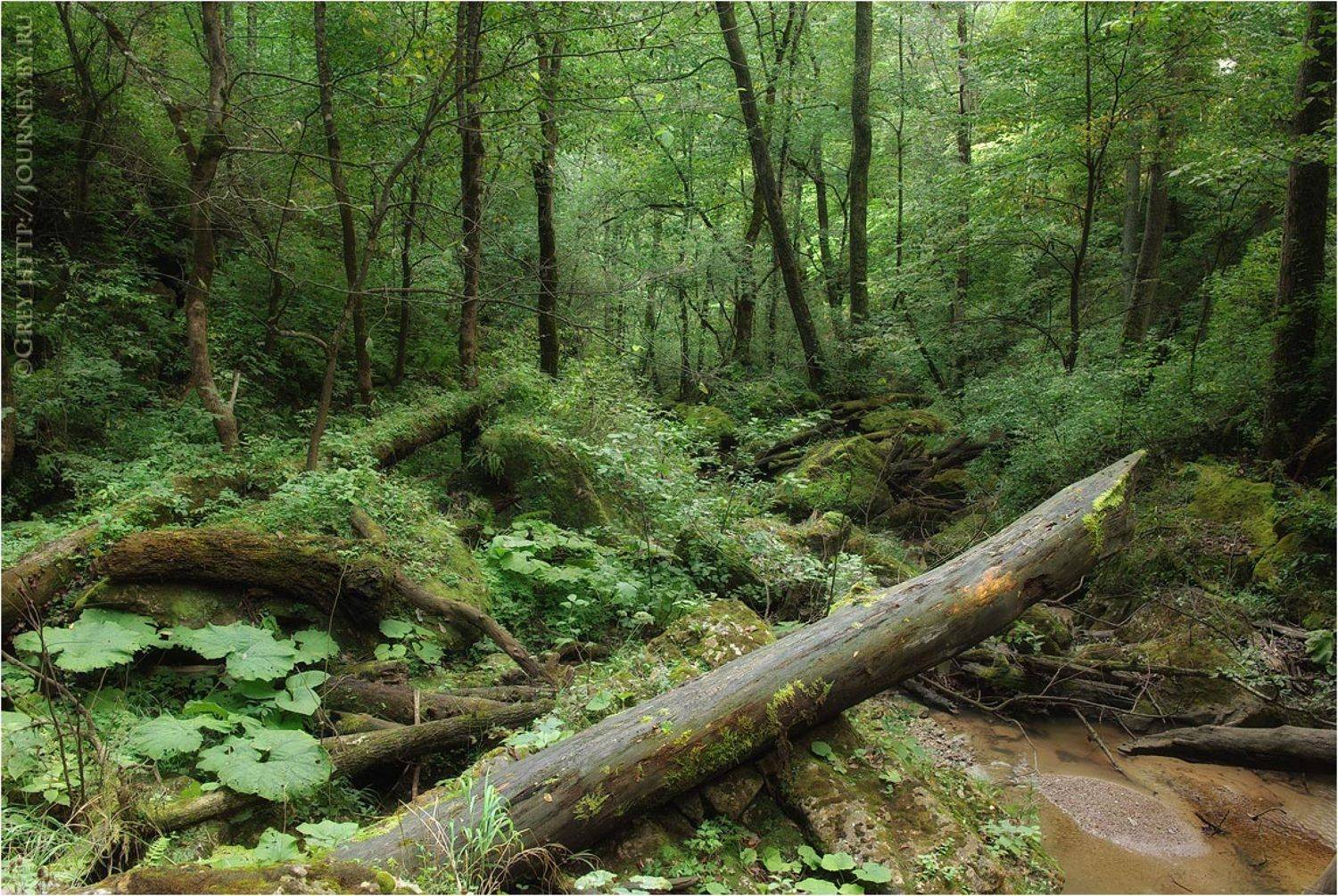 , Сергей Павлов