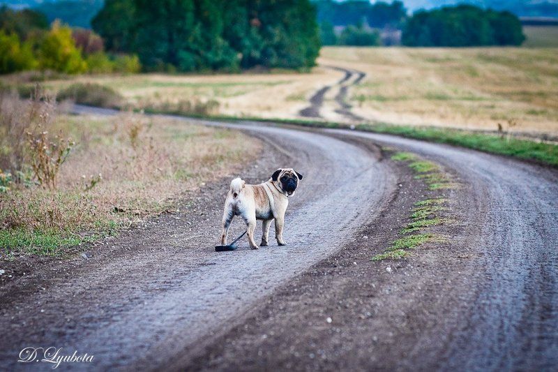 точно уйду...photo preview
