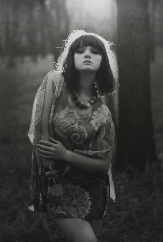 Dark forestphoto preview