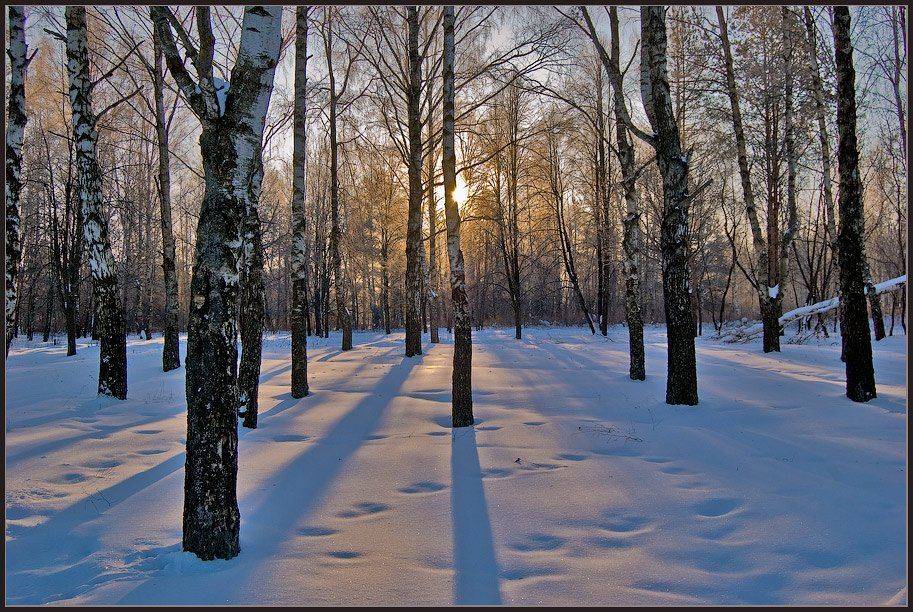 Про зиму, которая не за горами.... Автор: Октай Гусейнов , Октай Гусейнов