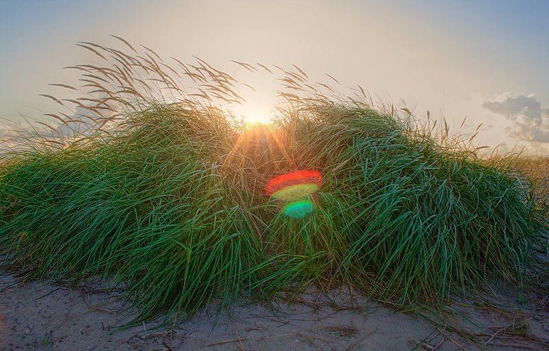 Зайчик который упал с сенцаphoto preview