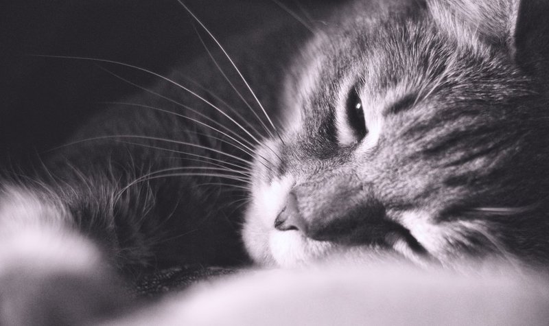 Time to sleepphoto preview