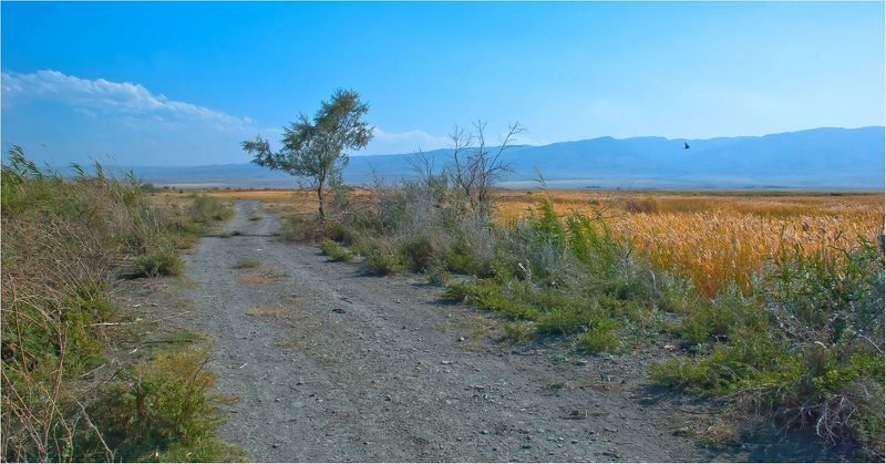 природа Ах это южное...Бабье лето...photo preview