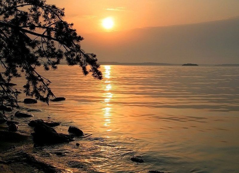 Волга золотая ...photo preview