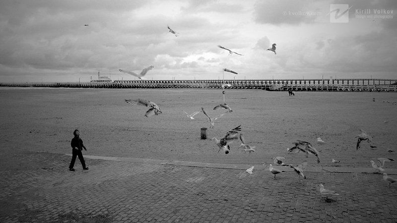 мальчик, чайки, пляж, побережье, северное, море беззащитныйphoto preview