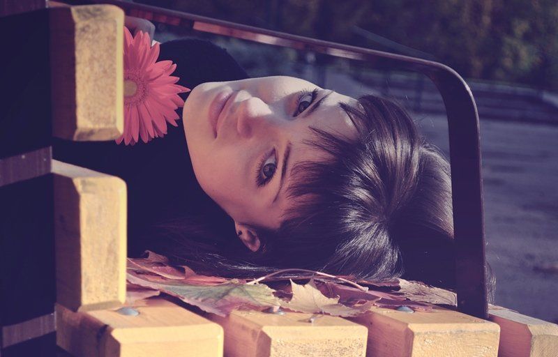 осень, autumn the flower of fallphoto preview