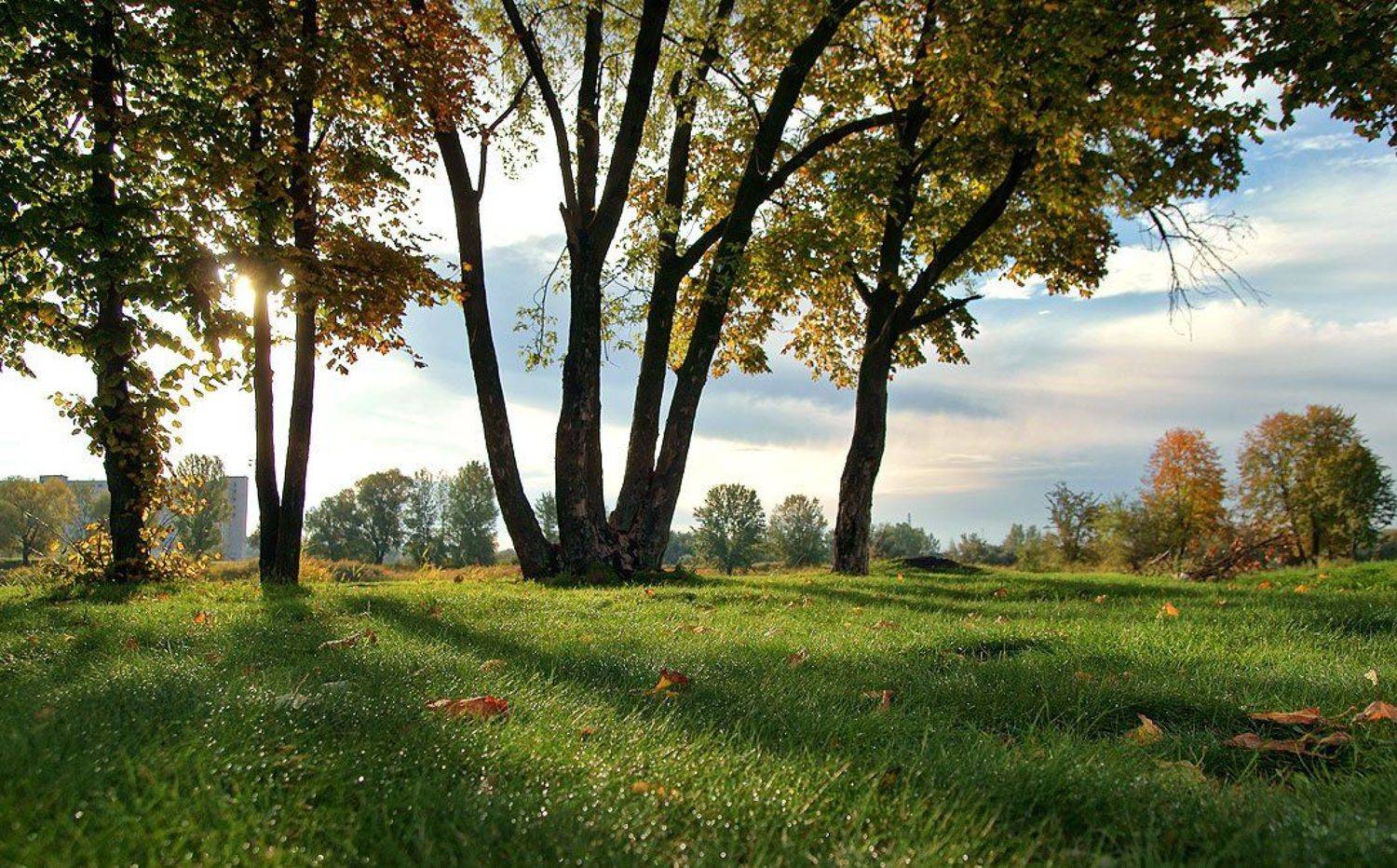 Автор: WENIK , WENIK