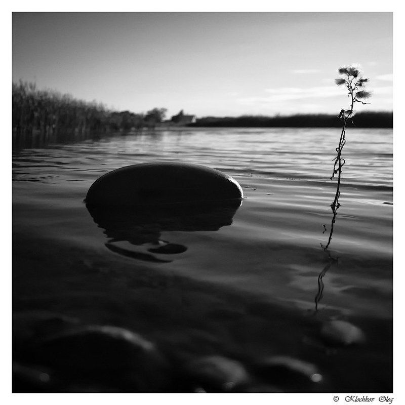 black and white, ч/б, жанр, черное и белое РОМАН С КАМНЕМphoto preview