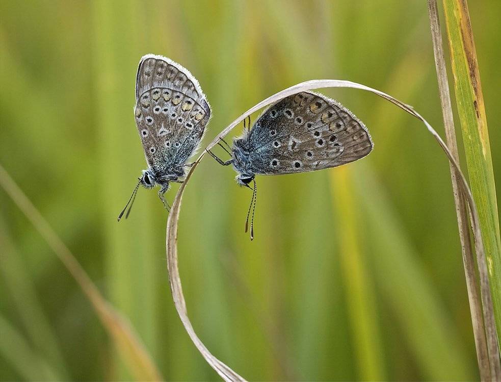 на "колесе обозрения". Автор: don077 , don077