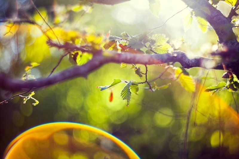 листочекphoto preview